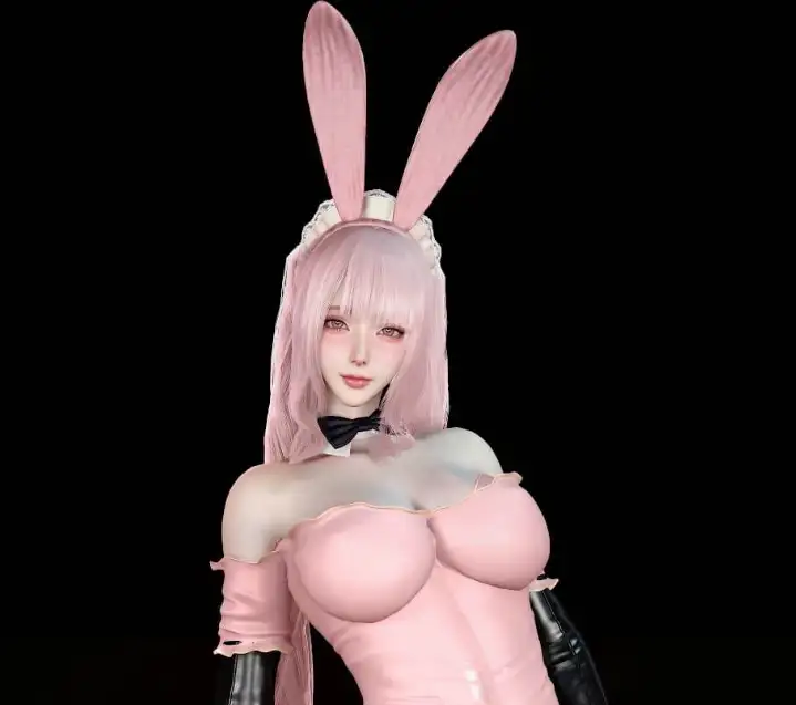 Dnaddr.PinkMaid_P_v1_5_25_10_24.1-哈基米社区